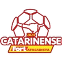 Brazilian Campeonato Catarinense Division 1