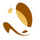 Chilean Super Cup