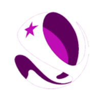 Chilean Women's Division 1