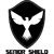 Chinese Hong Kong Senior Challenge Shield