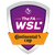 English FA Women's League Cup