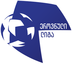 Georgia Erovnuli Liga