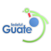 Guatemala Liga Naciona lPlay-off