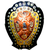 IND IFA Shield League