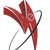 Indo D4