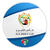 Kuwaiti Emir Cup