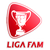 Malaysian FAM Cup