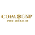 Mexico Copa GNP