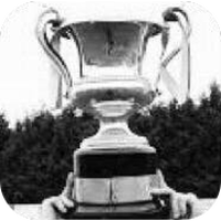 Northern Ireland Intermediate Cup