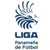 Panamanian Liga de Futbol