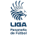 Panamanian Liga de Futbol