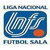 Spanish Futsal Division De Honor