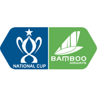VIE National Cup