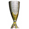 Algarve Cup runner-up
