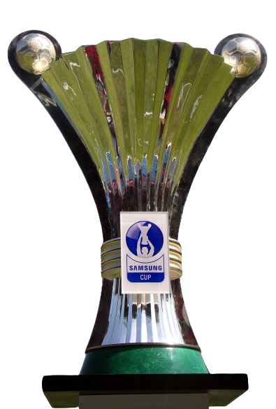 Burgenland Cup Winner