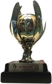 Campeón Supercopa Argentina