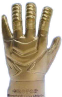 China Golden Glove Award