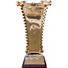 Chinese cup winner