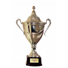 Damallsvenskan runner-up