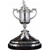 FAI Women's Cup winner