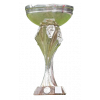 Faxafloi Women Cup runner-up