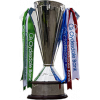 German Under-17 Bundesliga North/North-east champion