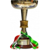 Italian Youth champion (Primavera)