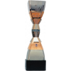 KNVB Beker Women runner-up