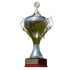 Landespokal Sachsen-Anhalt Winner