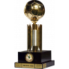 NWSL Challenge Cup runner-up
