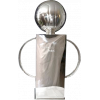 Swedish champion