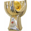 Turkish Super Cup winner