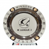 UEFA Women's Champions League runner-up