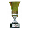 WE League runner-up
