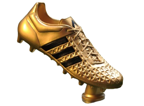 Winner of the Copa de Campeones