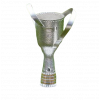 Women's Pan American Games runner-up
