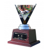 Women's Super League runner-up