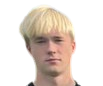 Akseli Aaltonen