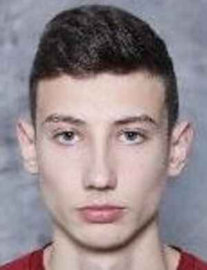 Ali Sokolovic