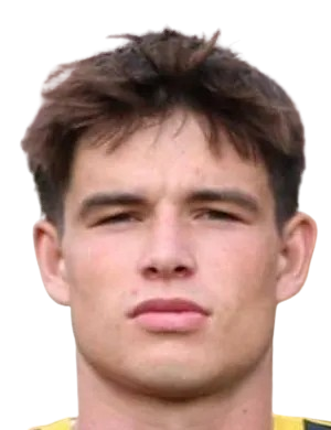 Alin kumer