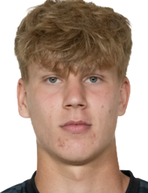 Artem Mityaev
