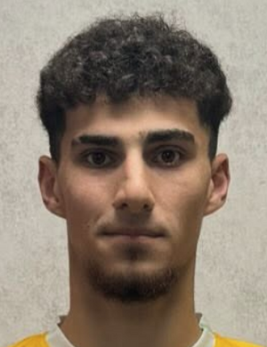 Bekir Alper Taşdemir