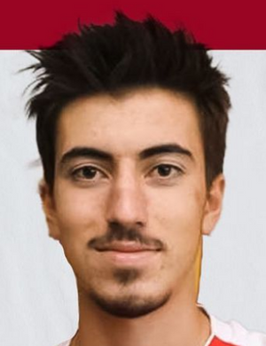 Berk Zerenman