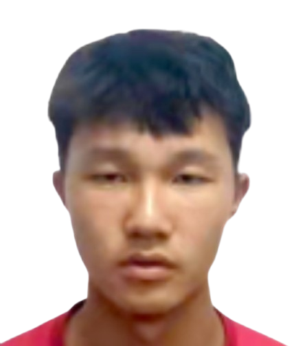 Chen Zihua