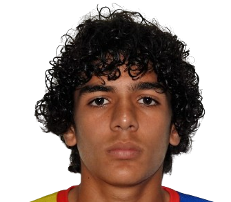 Daniel Badillo Sousa