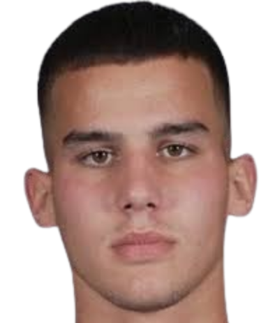 Dimitrije Minić