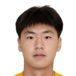 Ding Zhan