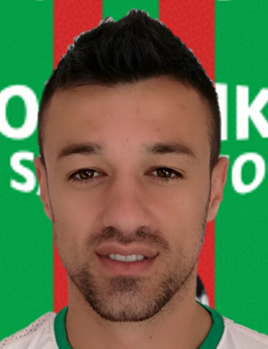 djoko milovic