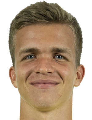 dominik snajder