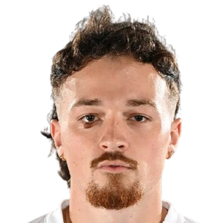 Dyson clapier
